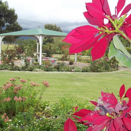 African Sun Guest House George Exterior foto